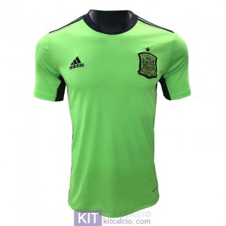 Maglia Spagna Portiere Green 2021/2022