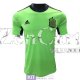 Maglia Spagna Portiere Green 2021/2022
