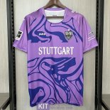 Maglia VfB Stuttgart Portiere Purple 2023/2024